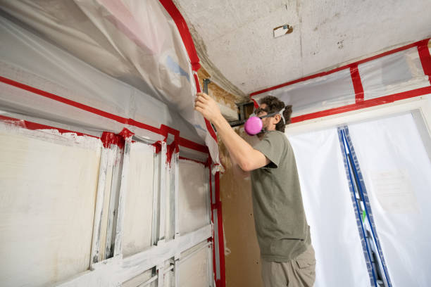  North Logan, UT Mold Removal Pros