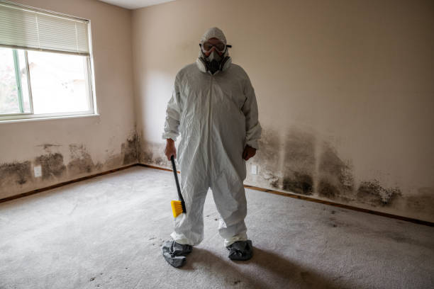 Best Emergency Mold Remediation  in North Logan, UT